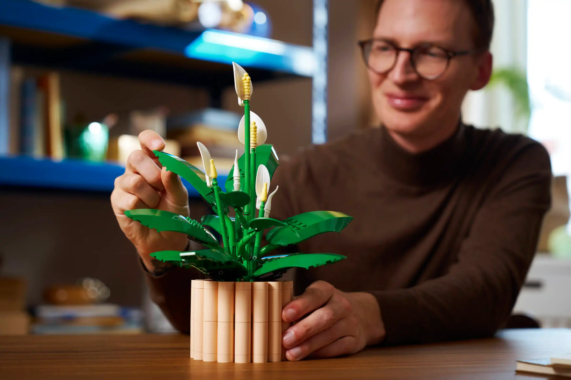 گیاه اسپاتی فیلوم 11504