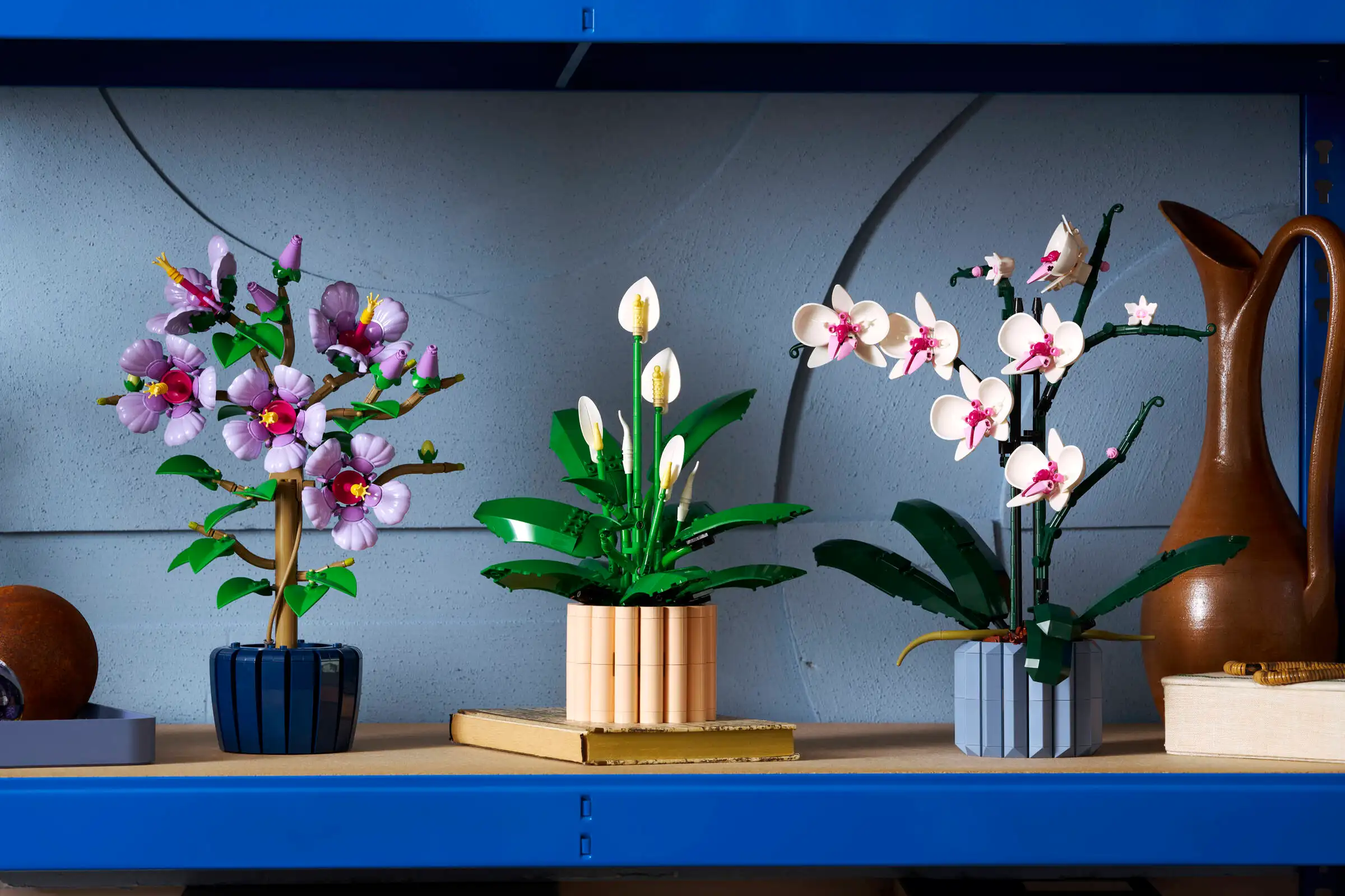 گیاه اسپاتی فیلوم 11504